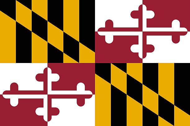 Maryland: What To Expect With MDEC (Maryland Electronic Courts)